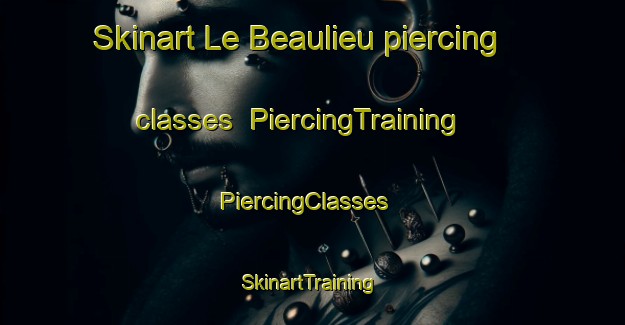 Skinart Le Beaulieu piercing classes | PiercingTraining | PiercingClasses | SkinartTraining-France