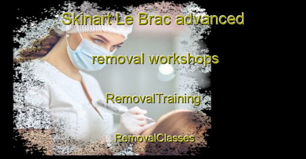 Skinart Le Brac advanced removal workshops | RemovalTraining | RemovalClasses | SkinartTraining-France