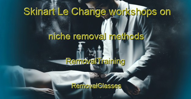 Skinart Le Change workshops on niche removal methods | RemovalTraining | RemovalClasses | SkinartTraining-France