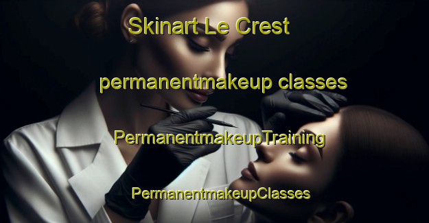 Skinart Le Crest permanentmakeup classes | PermanentmakeupTraining | PermanentmakeupClasses | SkinartTraining-France
