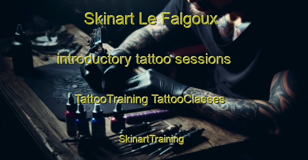 Skinart Le Falgoux introductory tattoo sessions | #TattooTraining #TattooClasses #SkinartTraining-France