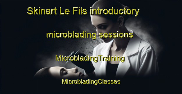 Skinart Le Fils introductory microblading sessions | #MicrobladingTraining #MicrobladingClasses #SkinartTraining-France