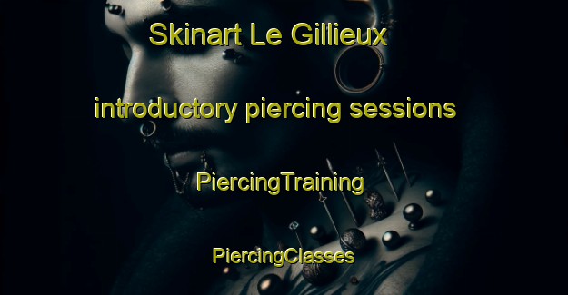 Skinart Le Gillieux introductory piercing sessions | #PiercingTraining #PiercingClasses #SkinartTraining-France