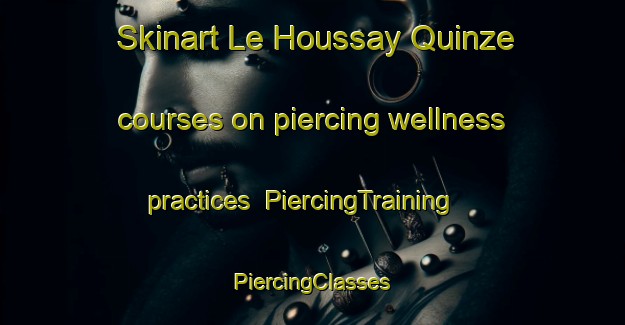 Skinart Le Houssay Quinze courses on piercing wellness practices | #PiercingTraining #PiercingClasses #SkinartTraining-France