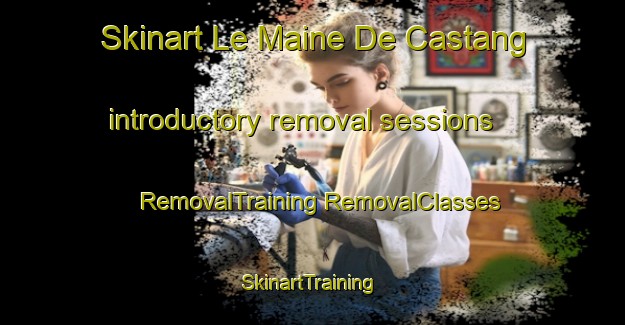 Skinart Le Maine De Castang introductory removal sessions | #RemovalTraining #RemovalClasses #SkinartTraining-France