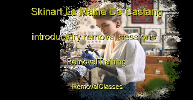 Skinart Le Maine De Castang introductory removal sessions | RemovalTraining | RemovalClasses | SkinartTraining-France