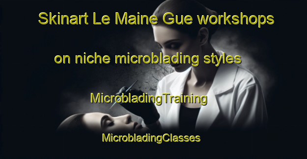 Skinart Le Maine Gue workshops on niche microblading styles | MicrobladingTraining | MicrobladingClasses | SkinartTraining-France