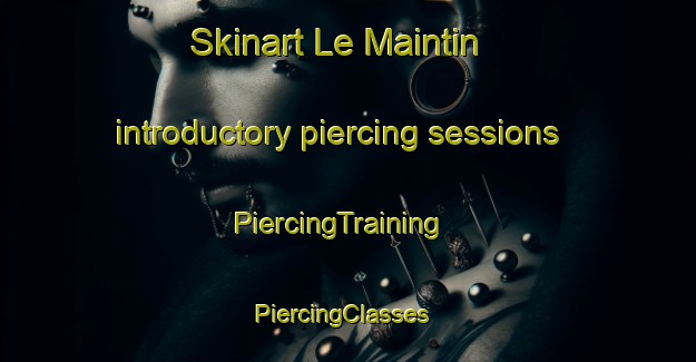 Skinart Le Maintin introductory piercing sessions | PiercingTraining | PiercingClasses | SkinartTraining-France