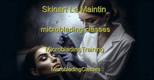 Skinart Le Maintin microblading classes | MicrobladingTraining | MicrobladingClasses | SkinartTraining-France