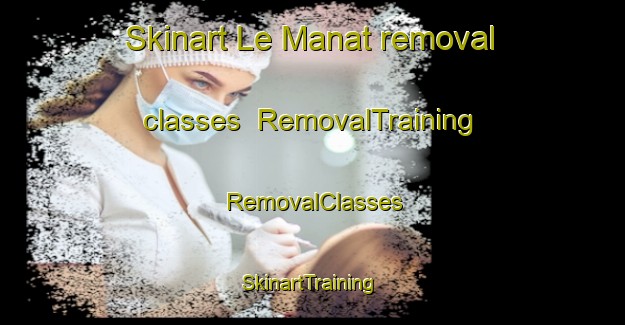 Skinart Le Manat removal classes | RemovalTraining | RemovalClasses | SkinartTraining-France
