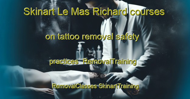 Skinart Le Mas Richard courses on tattoo removal safety practices | #RemovalTraining #RemovalClasses #SkinartTraining-France