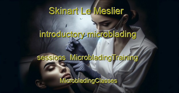 Skinart Le Meslier introductory microblading sessions | MicrobladingTraining | MicrobladingClasses | SkinartTraining-France