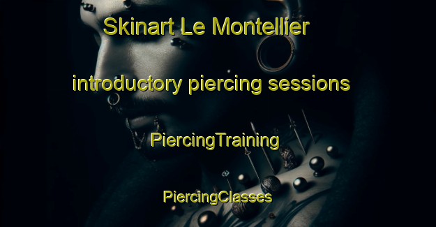 Skinart Le Montellier introductory piercing sessions | #PiercingTraining #PiercingClasses #SkinartTraining-France