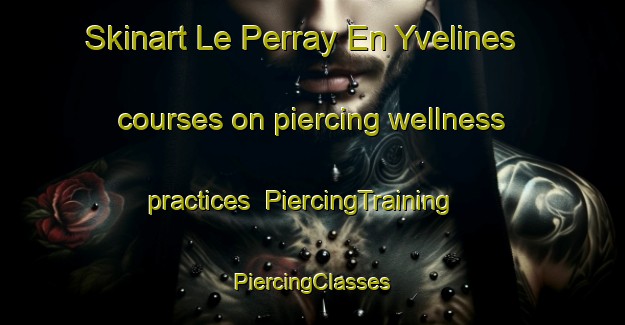 Skinart Le Perray En Yvelines courses on piercing wellness practices | #PiercingTraining #PiercingClasses #SkinartTraining-France