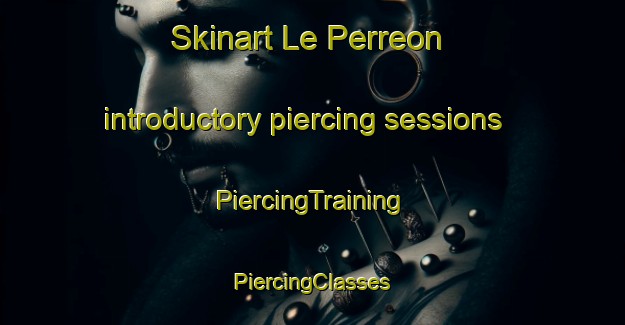 Skinart Le Perreon introductory piercing sessions | #PiercingTraining #PiercingClasses #SkinartTraining-France