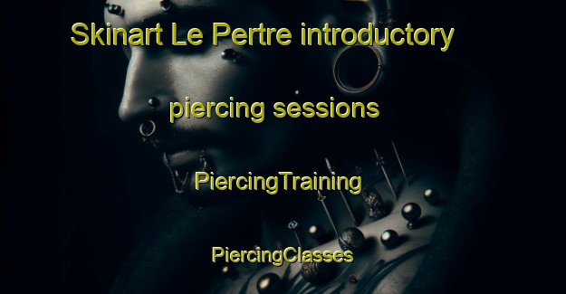 Skinart Le Pertre introductory piercing sessions | #PiercingTraining #PiercingClasses #SkinartTraining-France