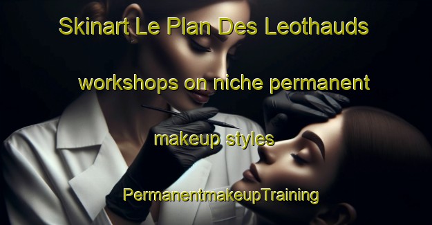 Skinart Le Plan Des Leothauds workshops on niche permanent makeup styles | PermanentmakeupTraining | PermanentmakeupClasses | SkinartTraining-France
