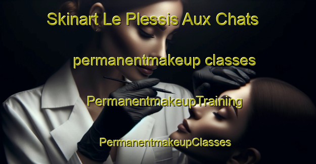 Skinart Le Plessis Aux Chats permanentmakeup classes | #PermanentmakeupTraining #PermanentmakeupClasses #SkinartTraining-France