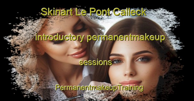 Skinart Le Pont Calleck introductory permanentmakeup sessions | PermanentmakeupTraining | PermanentmakeupClasses | SkinartTraining-France