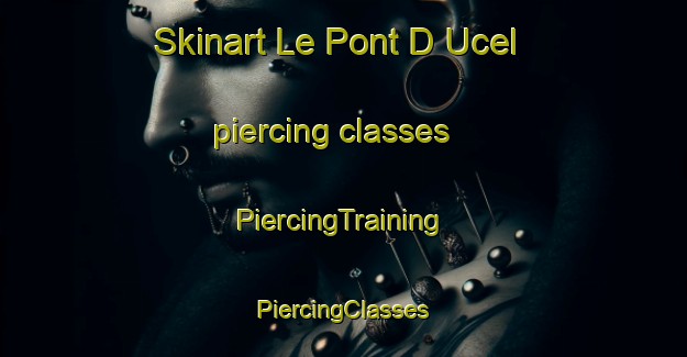 Skinart Le Pont D Ucel piercing classes | #PiercingTraining #PiercingClasses #SkinartTraining-France