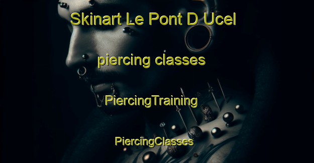 Skinart Le Pont D Ucel piercing classes | PiercingTraining | PiercingClasses | SkinartTraining-France