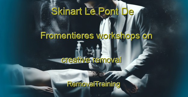 Skinart Le Pont De Fromentieres workshops on creative removal | RemovalTraining | RemovalClasses | SkinartTraining-France
