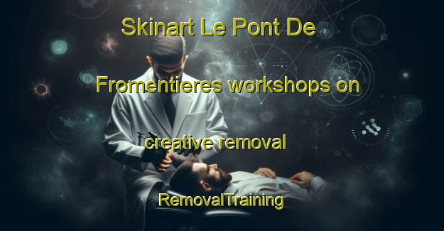 Skinart Le Pont De Fromentieres workshops on creative removal | RemovalTraining | RemovalClasses | SkinartTraining-France