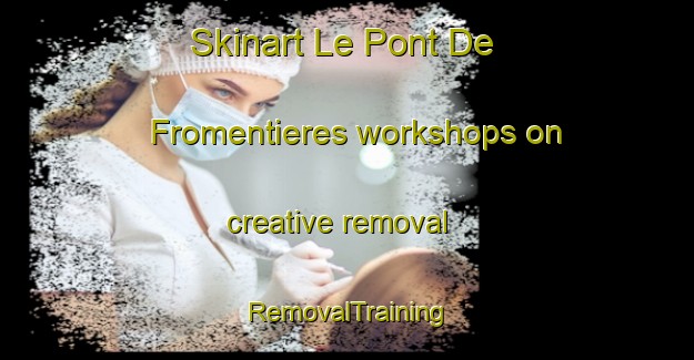 Skinart Le Pont De Fromentieres workshops on creative removal | RemovalTraining | RemovalClasses | SkinartTraining-France