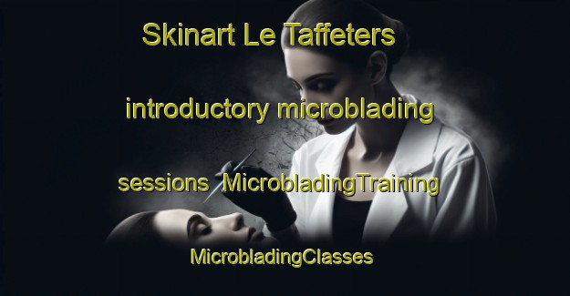 Skinart Le Taffeters introductory microblading sessions | MicrobladingTraining | MicrobladingClasses | SkinartTraining-France