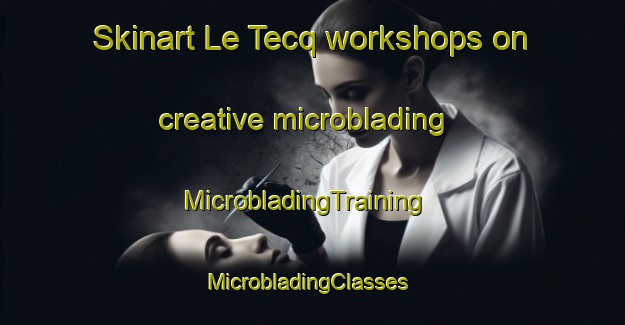 Skinart Le Tecq workshops on creative microblading | MicrobladingTraining | MicrobladingClasses | SkinartTraining-France