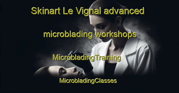 Skinart Le Vignal advanced microblading workshops | MicrobladingTraining | MicrobladingClasses | SkinartTraining-France