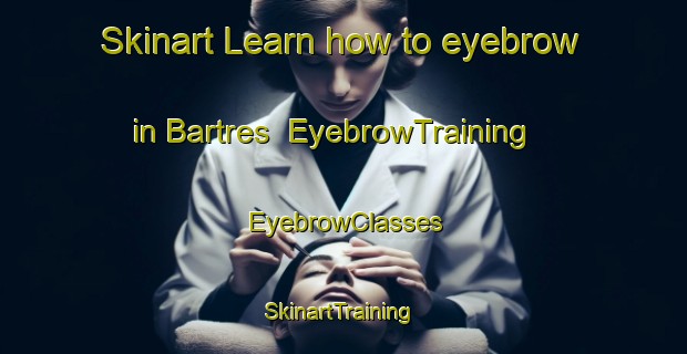 Skinart Learn how to eyebrow in Bartres | EyebrowTraining | EyebrowClasses | SkinartTraining-France