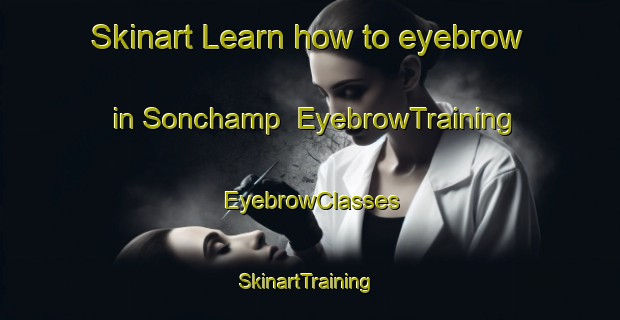 Skinart Learn how to eyebrow in Sonchamp | EyebrowTraining | EyebrowClasses | SkinartTraining-France