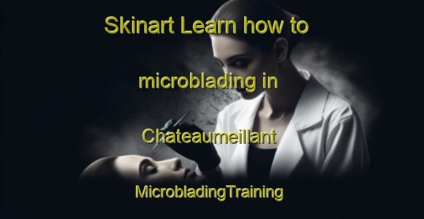 Skinart Learn how to microblading in Chateaumeillant | #MicrobladingTraining #MicrobladingClasses #SkinartTraining-France