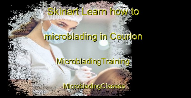 Skinart Learn how to microblading in Courlon | MicrobladingTraining | MicrobladingClasses | SkinartTraining-France