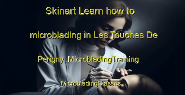 Skinart Learn how to microblading in Les Touches De Perigny | MicrobladingTraining | MicrobladingClasses | SkinartTraining-France