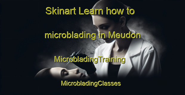 Skinart Learn how to microblading in Meudon | MicrobladingTraining | MicrobladingClasses | SkinartTraining-France