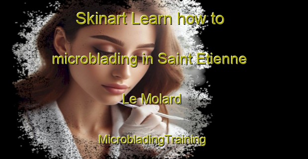 Skinart Learn how to microblading in Saint Etienne Le Molard | #MicrobladingTraining #MicrobladingClasses #SkinartTraining-France