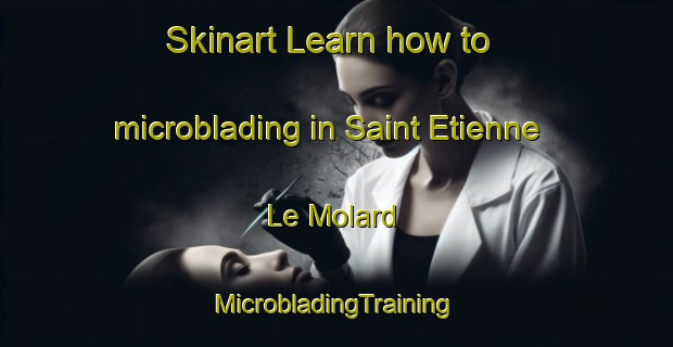 Skinart Learn how to microblading in Saint Etienne Le Molard | #MicrobladingTraining #MicrobladingClasses #SkinartTraining-France