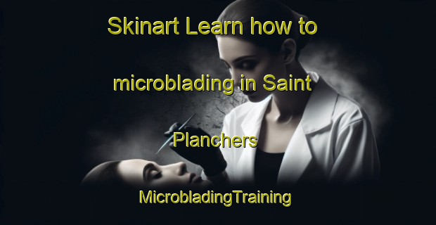 Skinart Learn how to microblading in Saint Planchers | #MicrobladingTraining #MicrobladingClasses #SkinartTraining-France