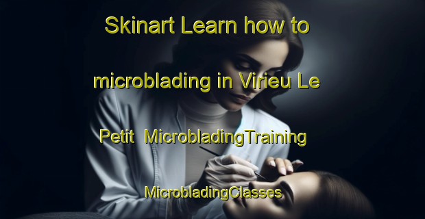 Skinart Learn how to microblading in Virieu Le Petit | #MicrobladingTraining #MicrobladingClasses #SkinartTraining-France