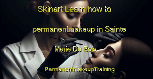 Skinart Learn how to permanentmakeup in Sainte Marie Du Bois | #PermanentmakeupTraining #PermanentmakeupClasses #SkinartTraining-France