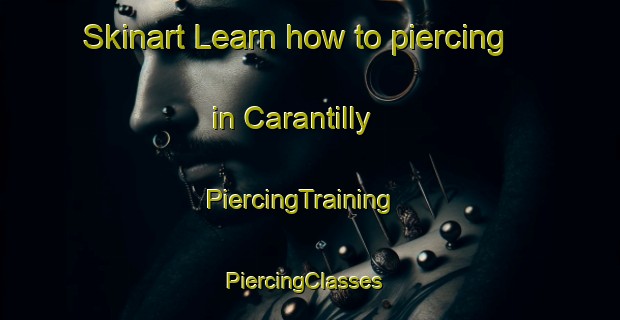Skinart Learn how to piercing in Carantilly | PiercingTraining | PiercingClasses | SkinartTraining-France