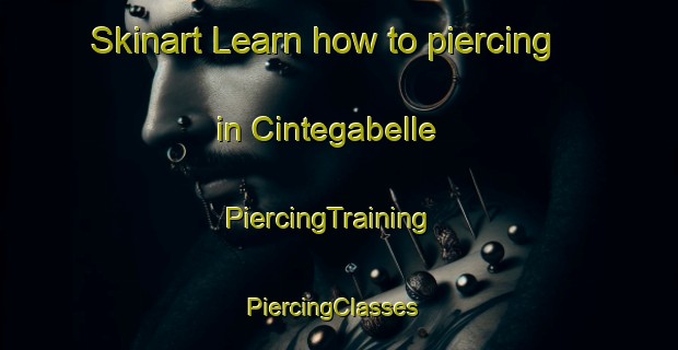 Skinart Learn how to piercing in Cintegabelle | PiercingTraining | PiercingClasses | SkinartTraining-France