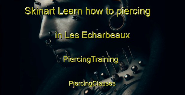 Skinart Learn how to piercing in Les Echarbeaux | #PiercingTraining #PiercingClasses #SkinartTraining-France