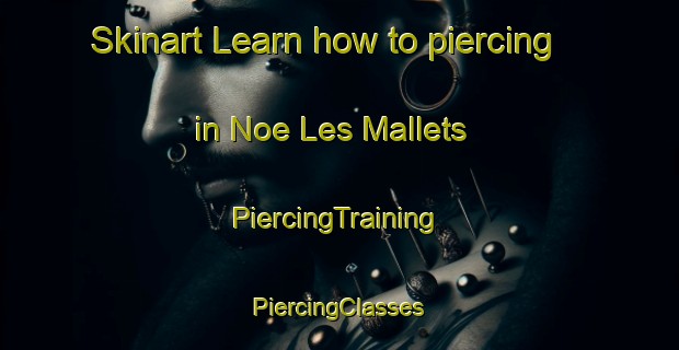 Skinart Learn how to piercing in Noe Les Mallets | #PiercingTraining #PiercingClasses #SkinartTraining-France