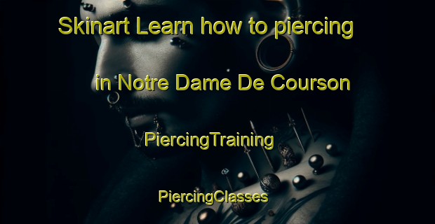 Skinart Learn how to piercing in Notre Dame De Courson | PiercingTraining | PiercingClasses | SkinartTraining-France