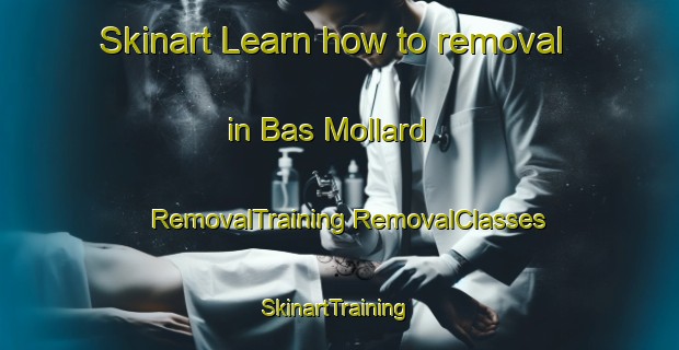 Skinart Learn how to removal in Bas Mollard | #RemovalTraining #RemovalClasses #SkinartTraining-France