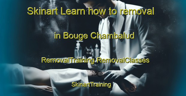 Skinart Learn how to removal in Bouge Chambalud | #RemovalTraining #RemovalClasses #SkinartTraining-France