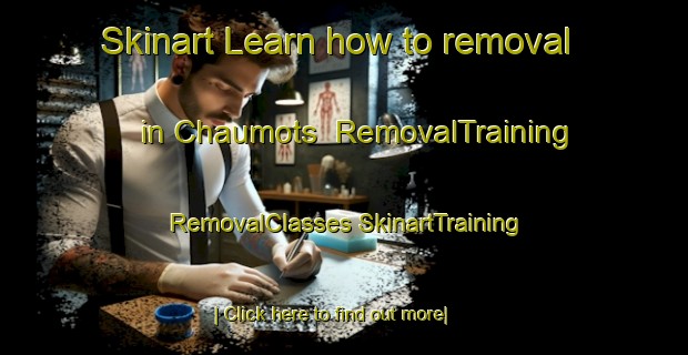 Skinart Learn how to removal in Chaumots | #RemovalTraining #RemovalClasses #SkinartTraining-France